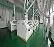 200 tpd industrial maize flour mill plant
